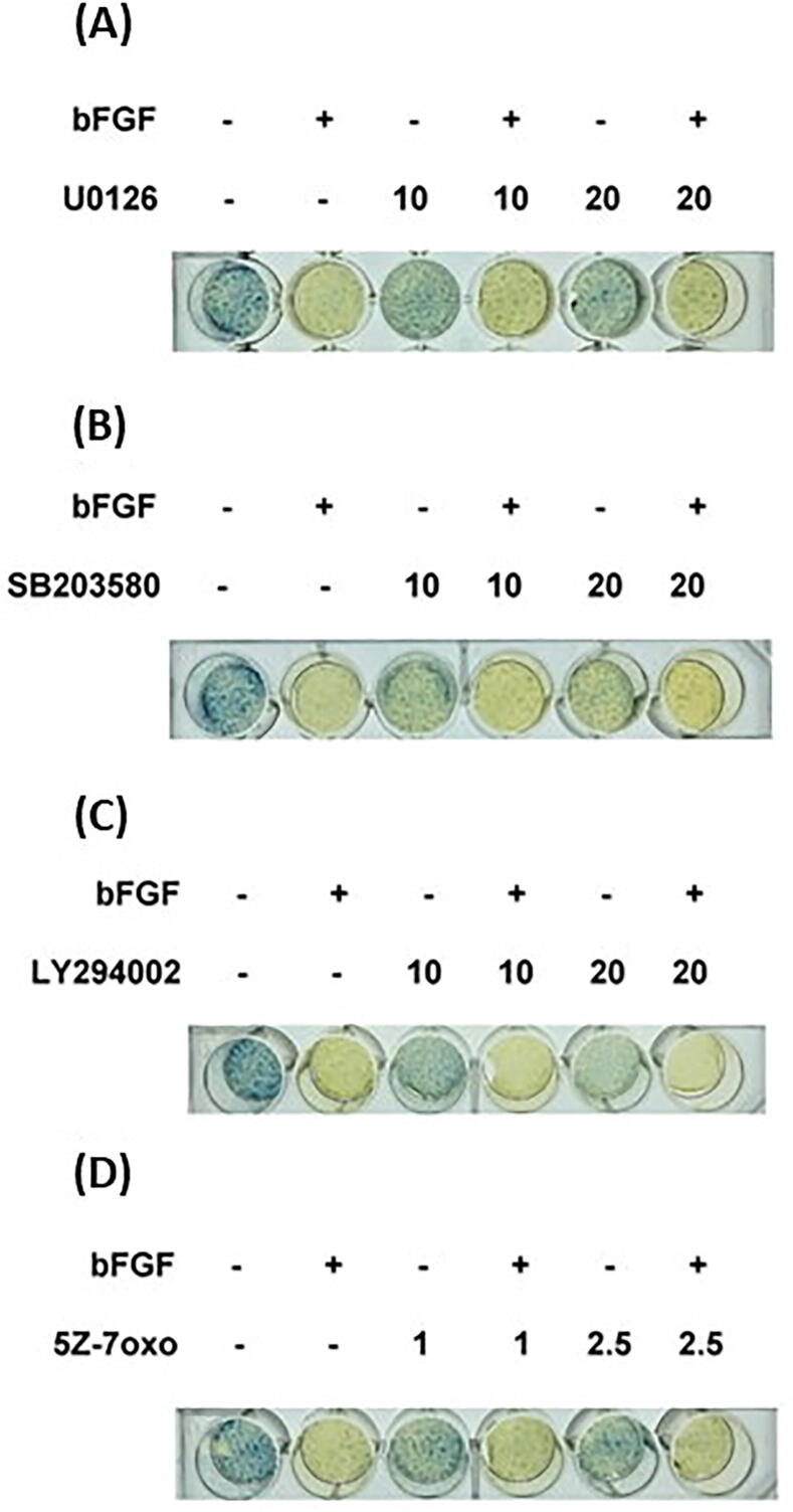 Fig. 8