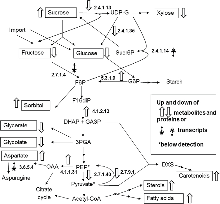 Fig. 4.