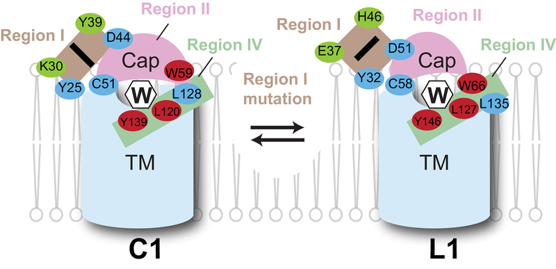 Figure 7.