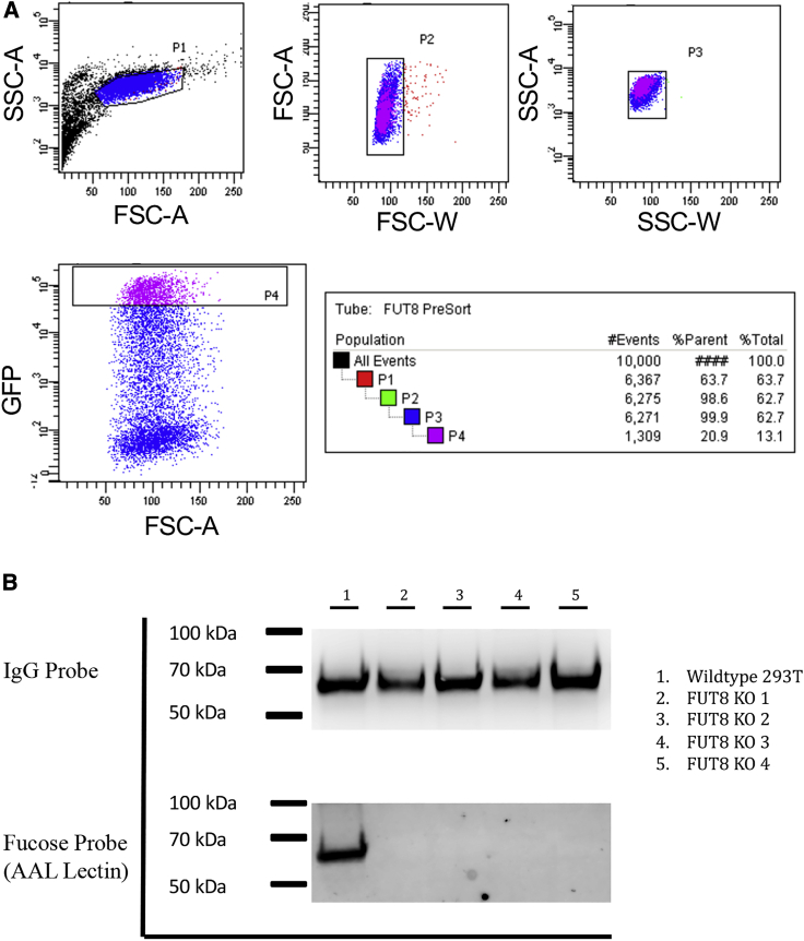 Figure 1