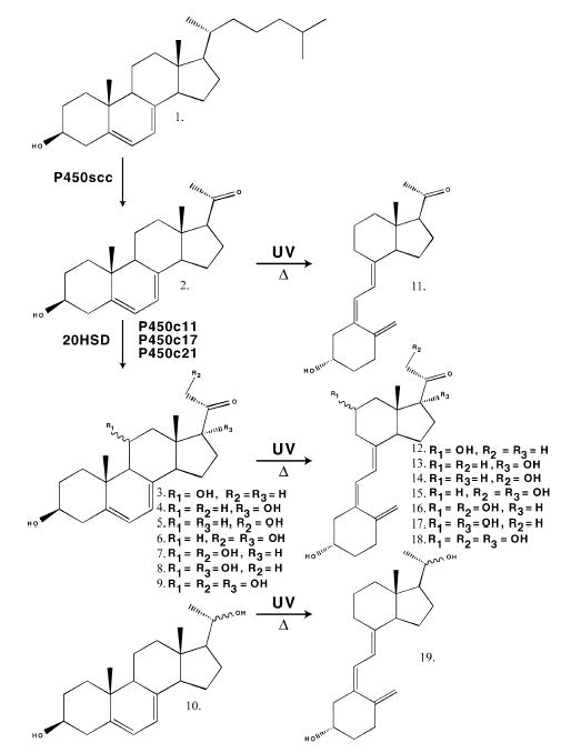 Fig. 8