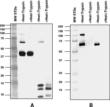 FIG. 8.