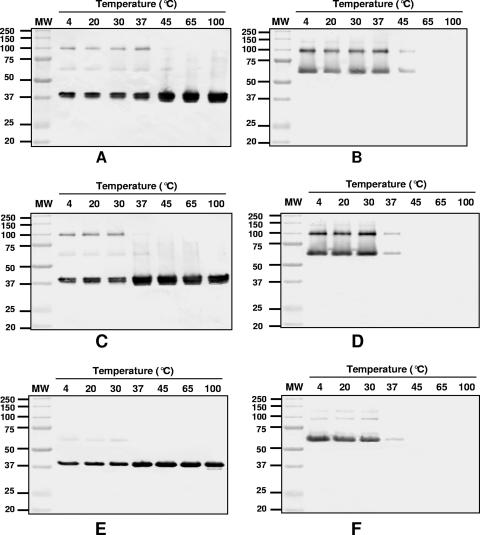 FIG. 9.