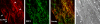Figure 5b: