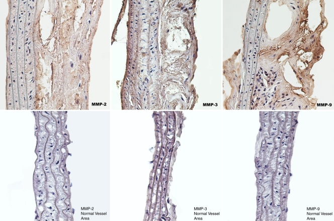 Figure 3: