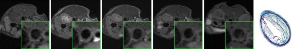 Figure 1c: