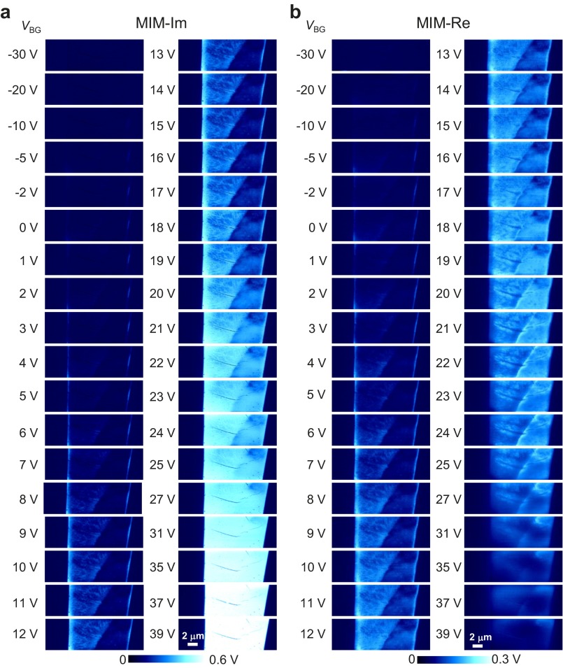 Fig. S1.