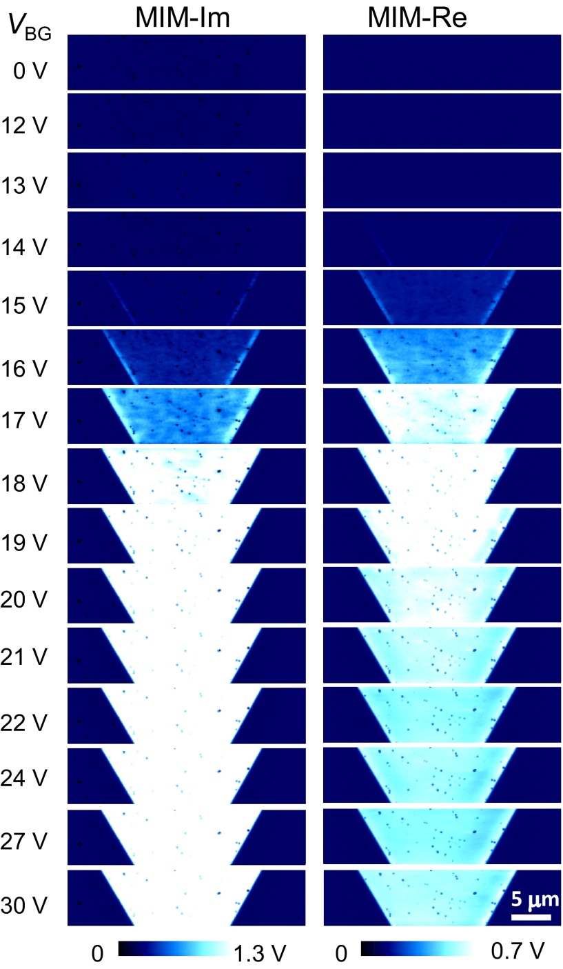 Fig. S3.