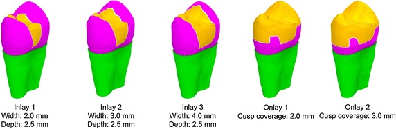 Fig. 1