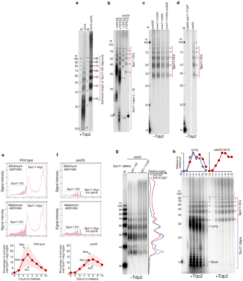 Extended Data Figure 1