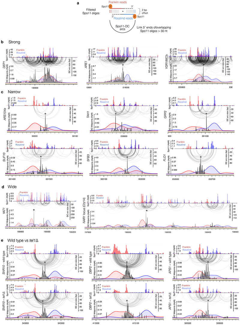 Extended Data Figure 4