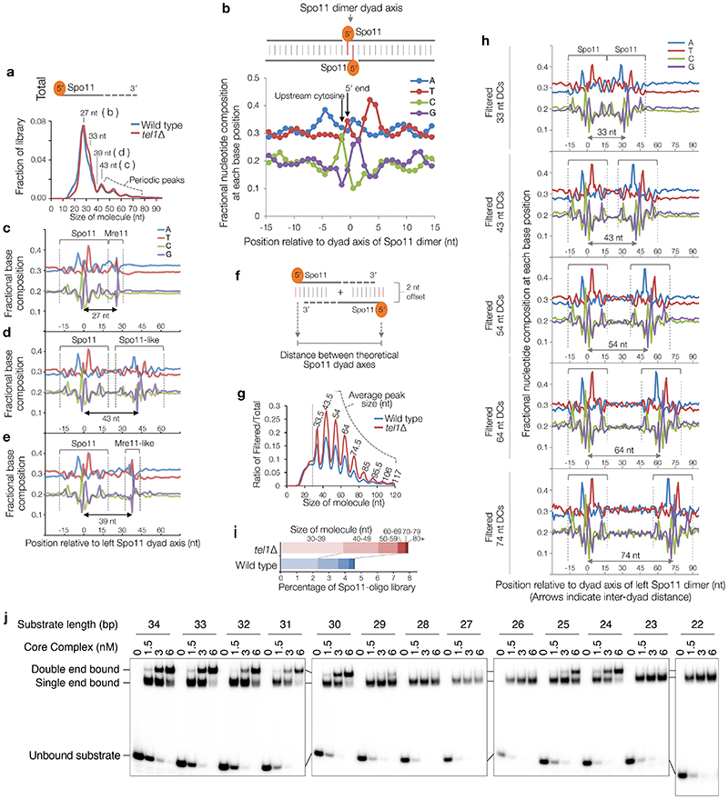 Extended Data Figure 2