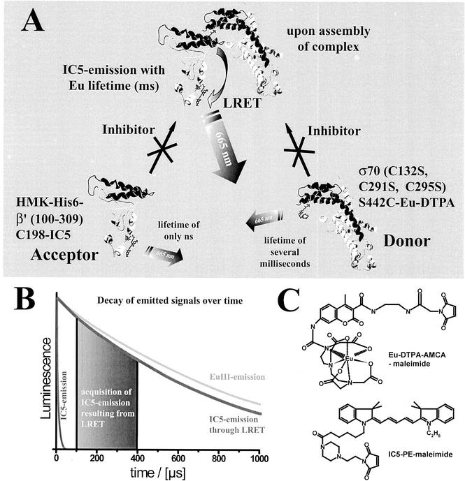 FIG. 1.