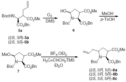 Scheme 2