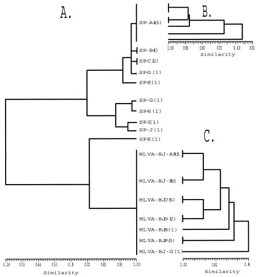 FIG. 3.