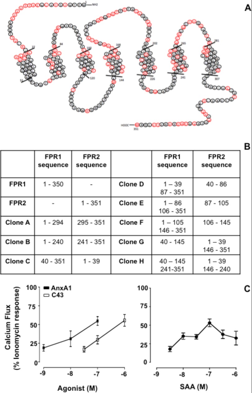 FIGURE 1.