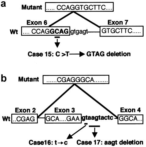 Figure  2