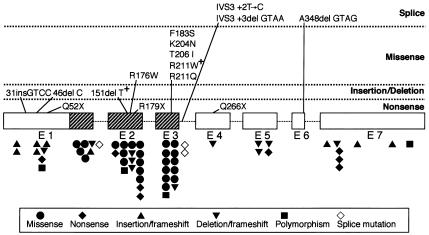 Figure  1