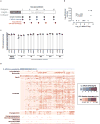 Extended Data Figure 1