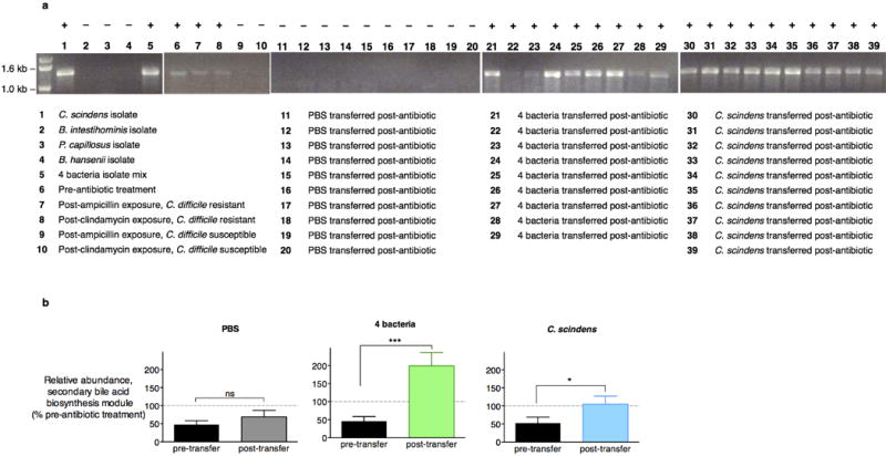 Extended Data Figure 6