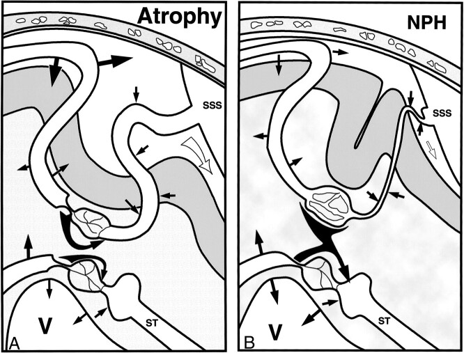 fig 5.