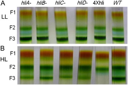 Figure 4.