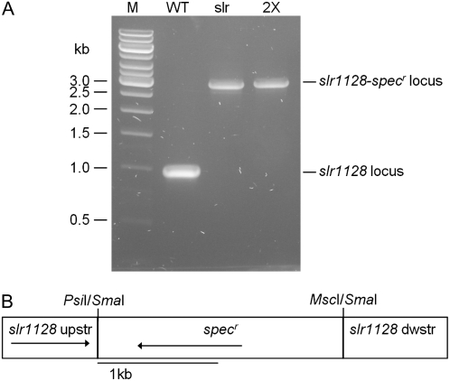 Figure 7.