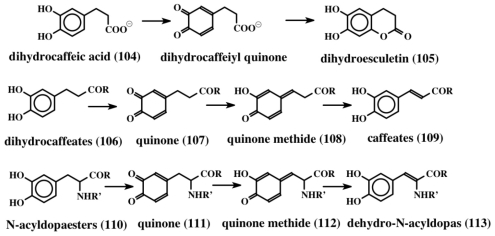 Figure 23