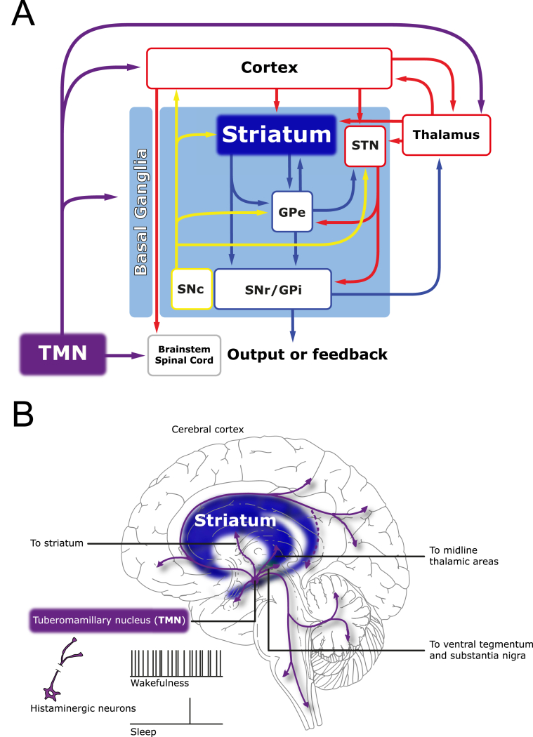 Fig. 1