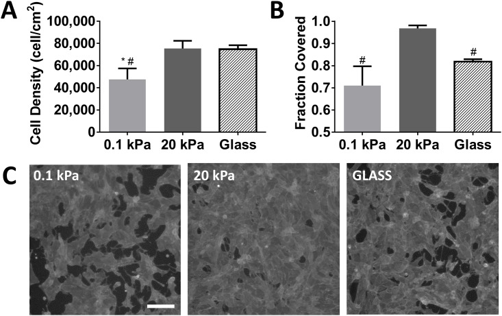 Fig 10