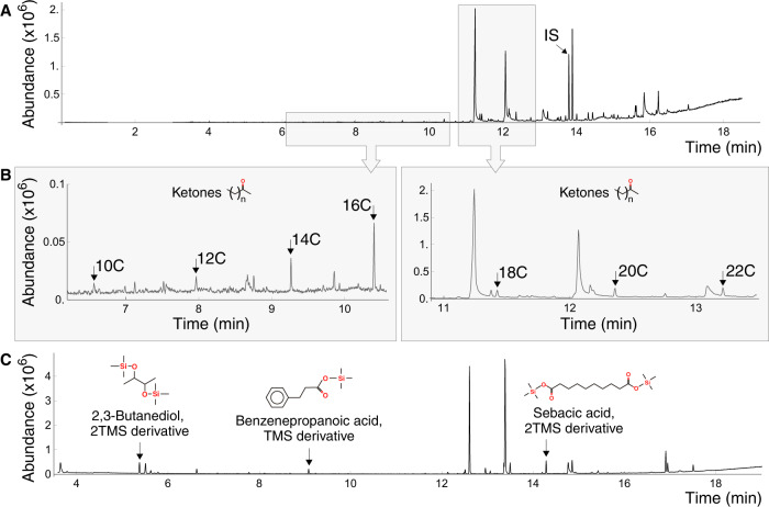 Fig. 3