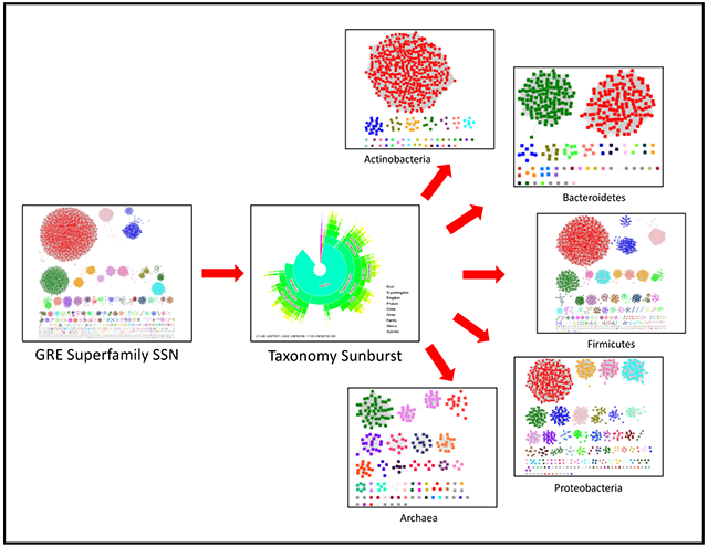 graphic file with name nihms-1877273-f0005.jpg
