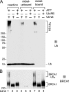 FIG. 5.