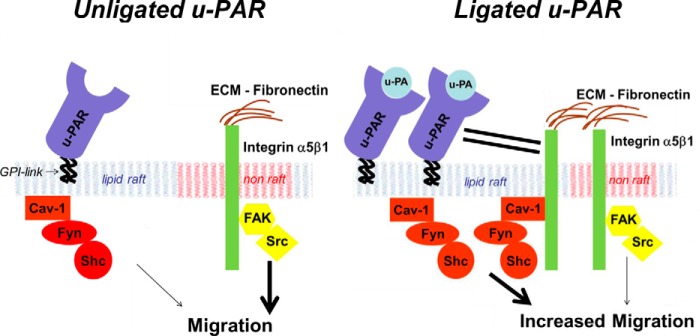 FIGURE 11.