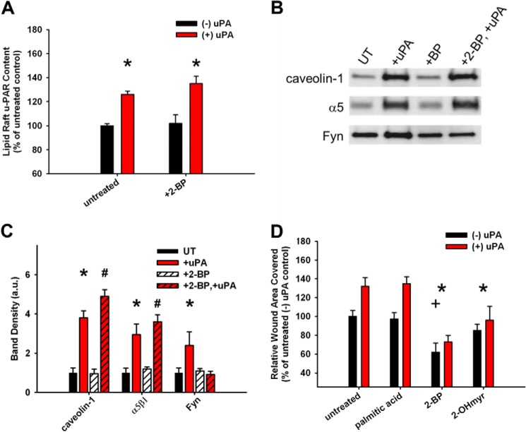 FIGURE 10.