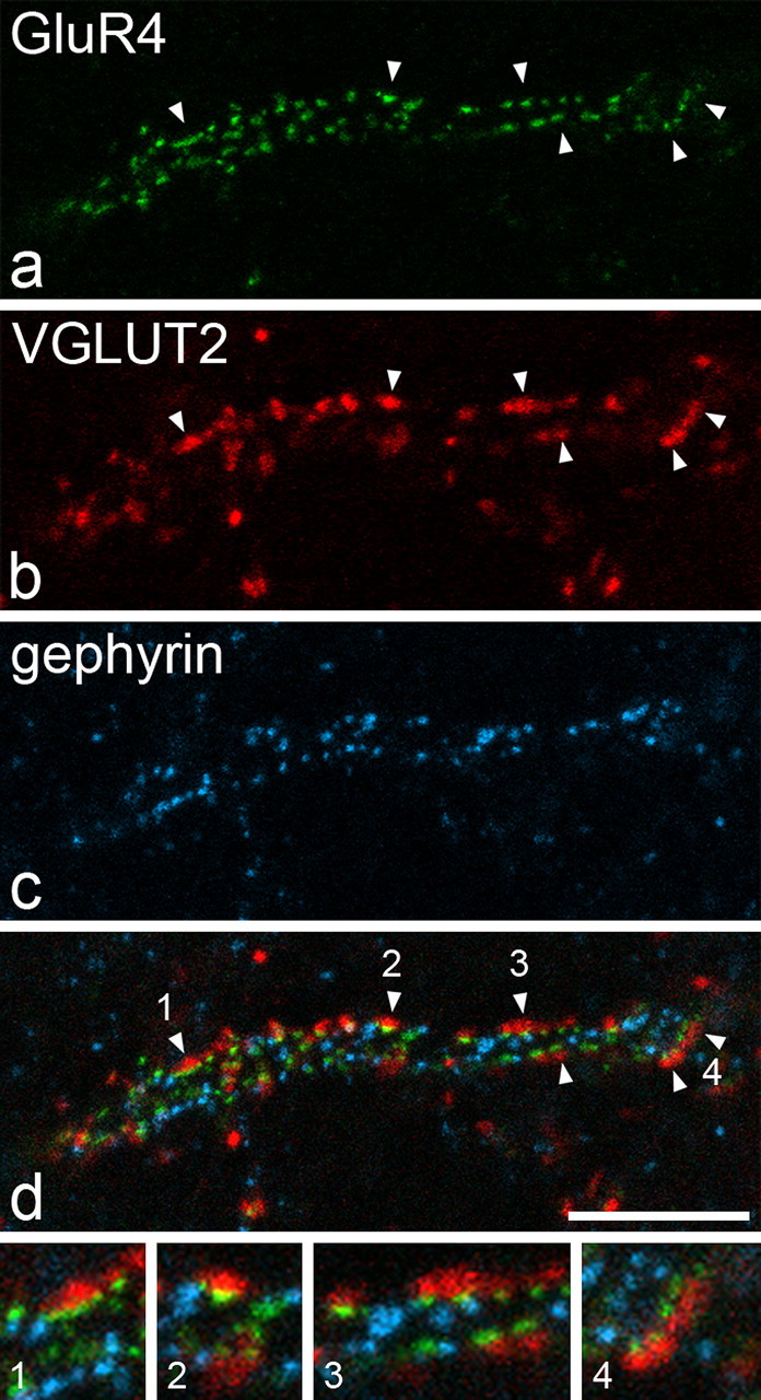 Figure 6.