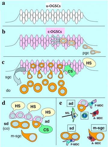 Fig. 2