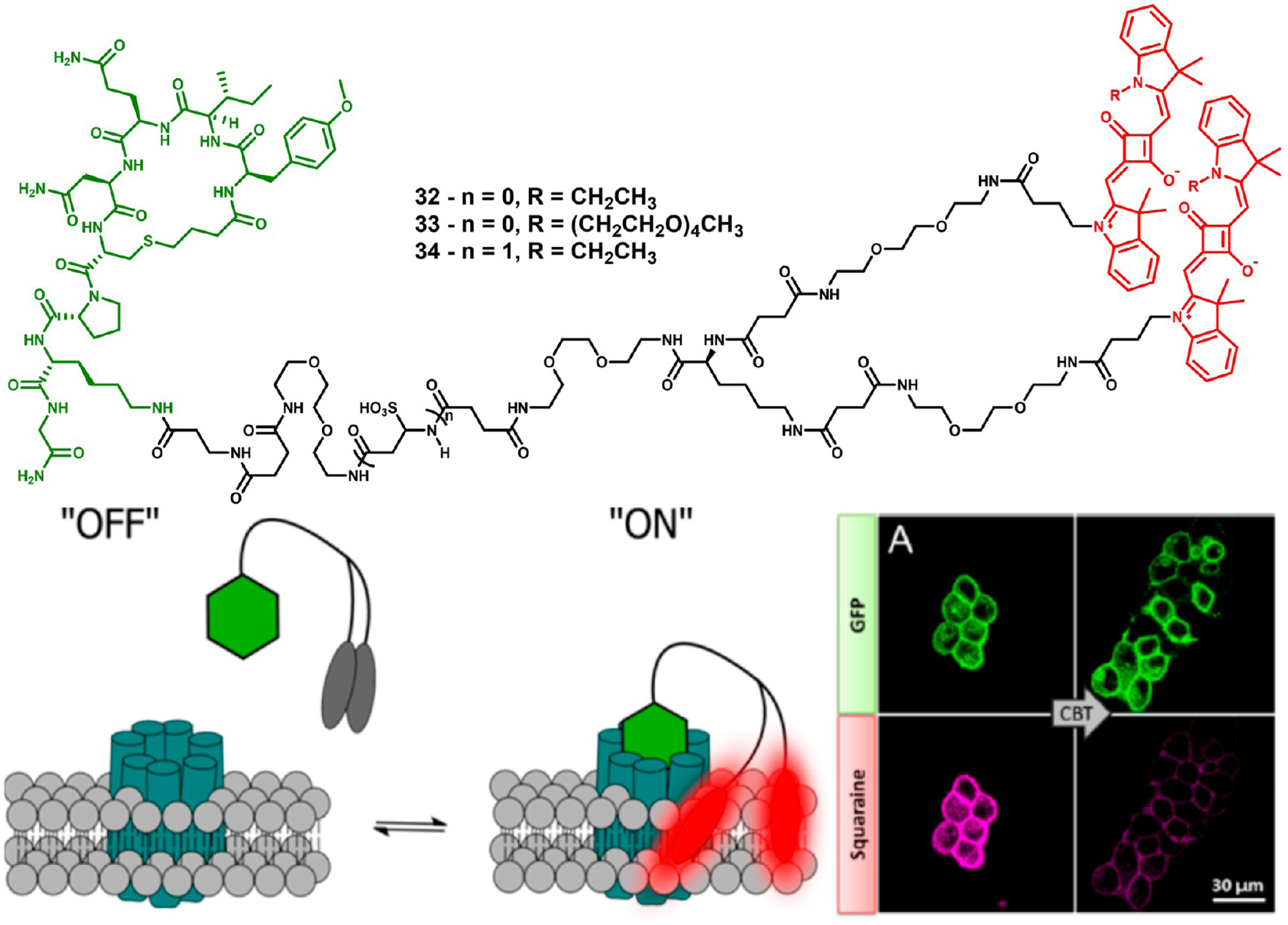 Figure 11.