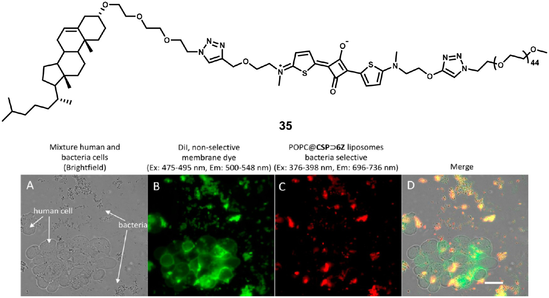 Figure 12.