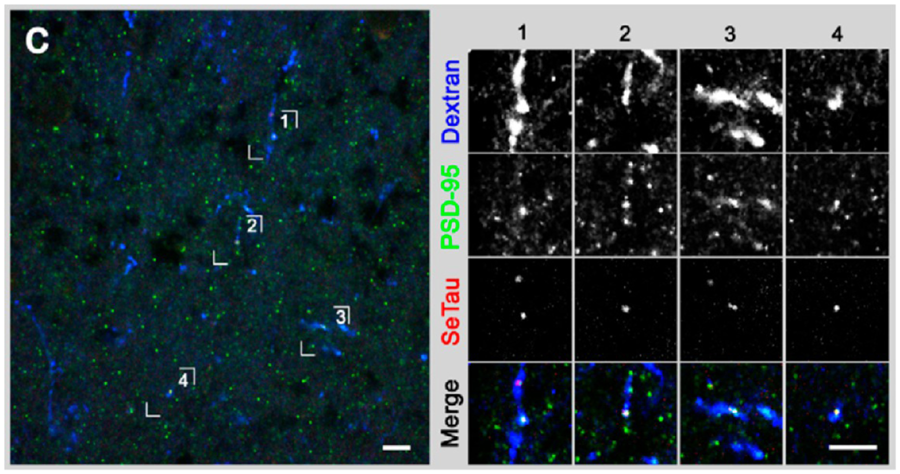 Figure 10.