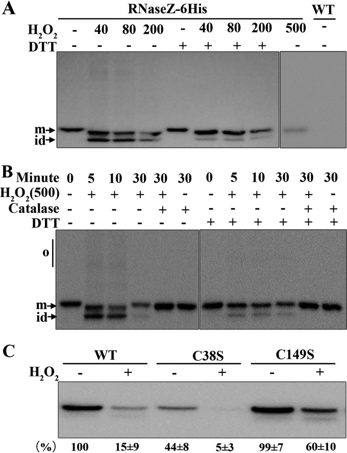 FIG 3