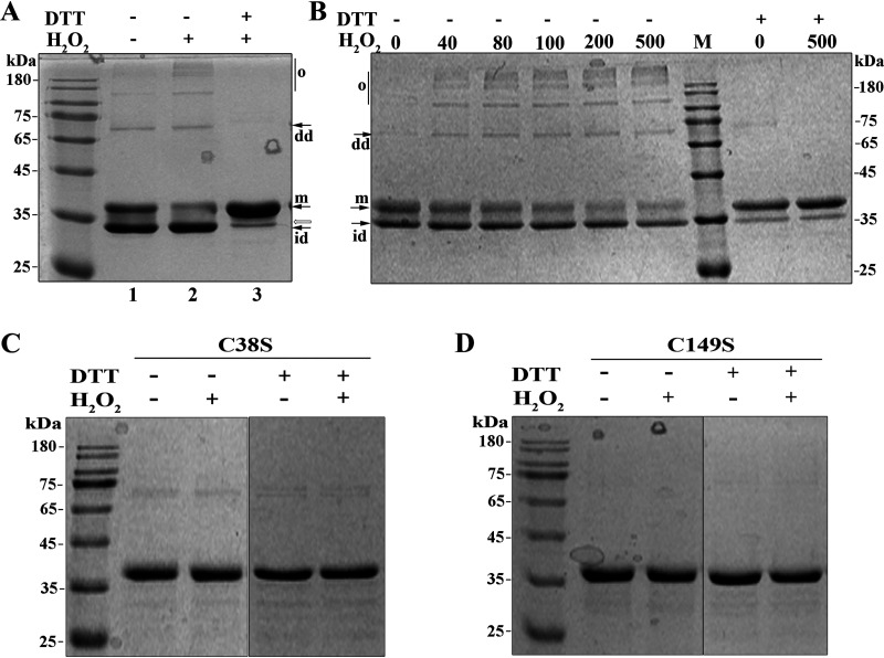 FIG 2