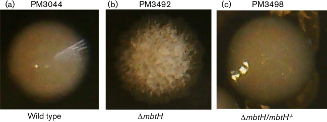 Fig. 3.