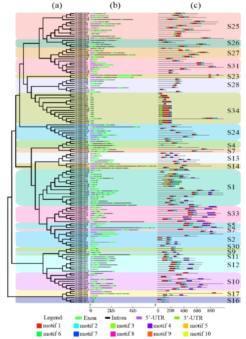 Fig. (3)