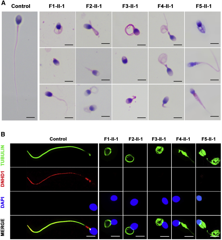 Figure 2