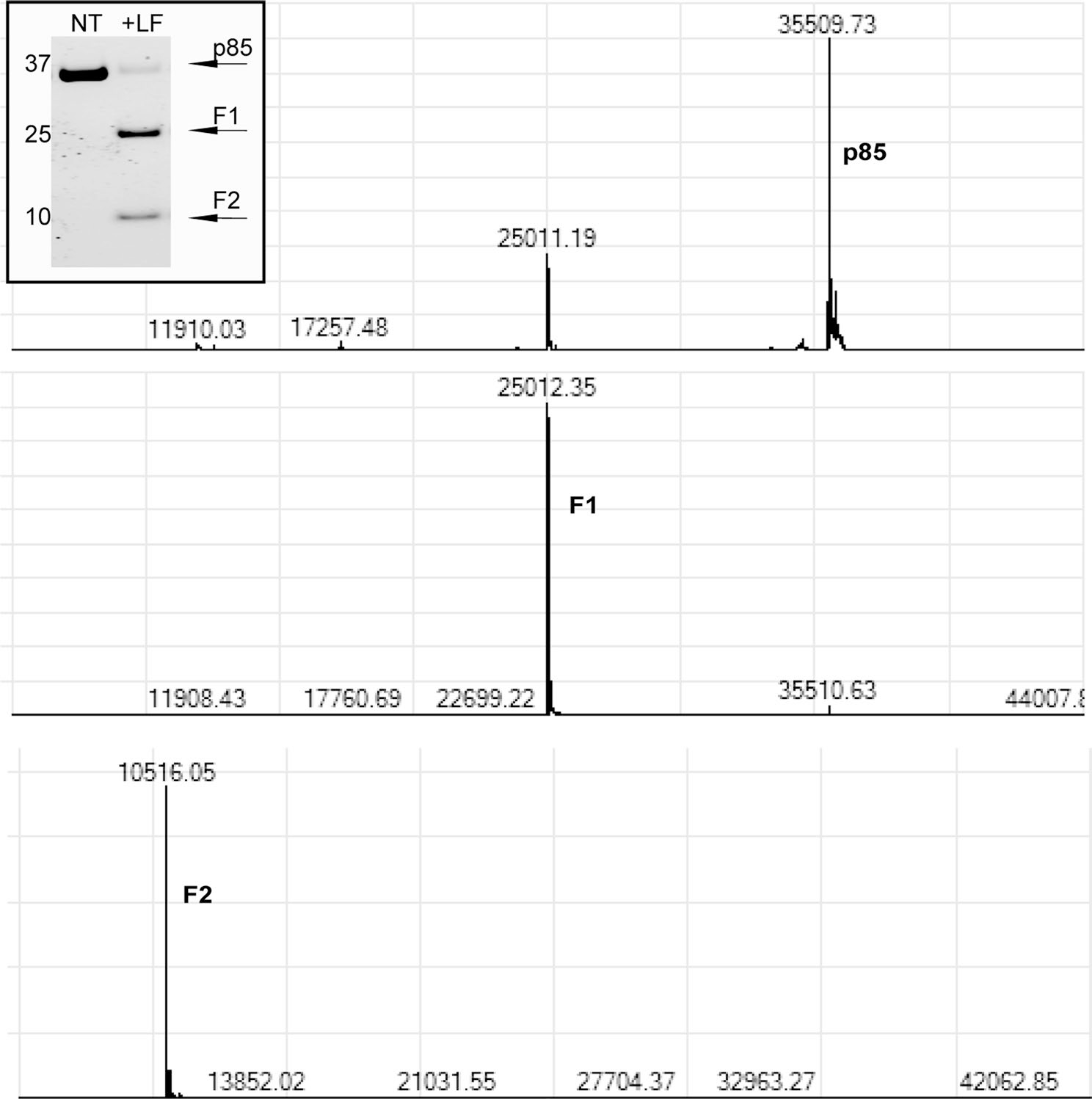 Extended Data Fig. 1 |