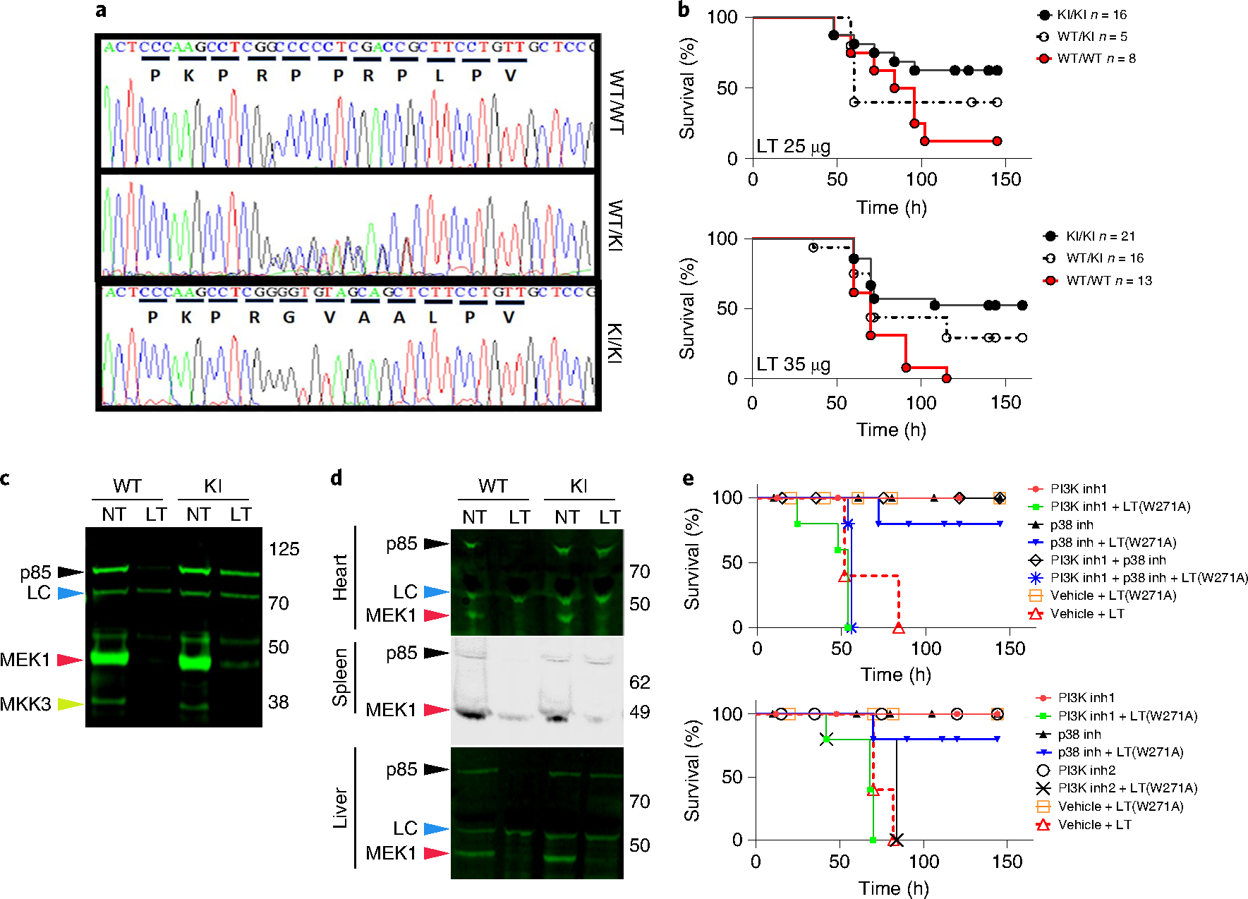 Fig. 4 |