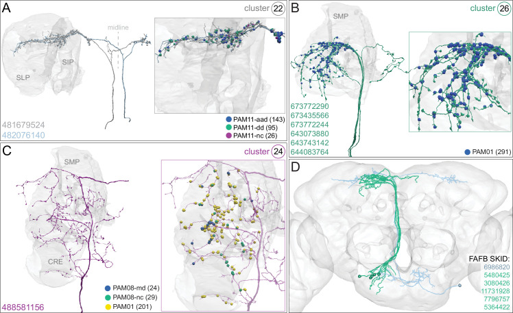 Figure 35—figure supplement 1.