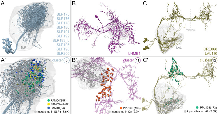 Figure 36.