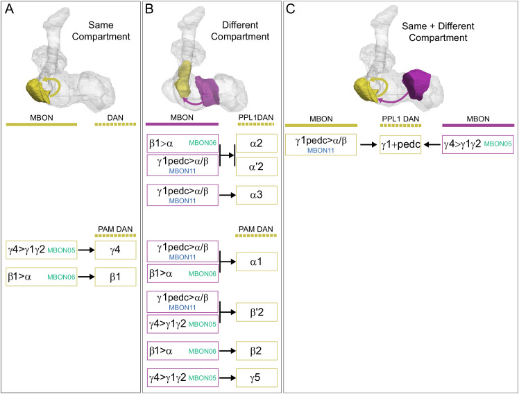 Figure 26—figure supplement 1.